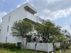 入船中央エステートの画像