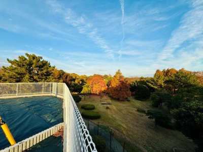広々とした緑地が広がる現地土地写真です。自然が身近に感じられる環境です。空が広く開放的な印象を与えます。四季折々の景観を楽しめる場所です。周囲の木々が彩りを添えています。