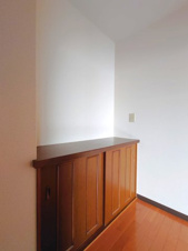 アイリスビル【収納】