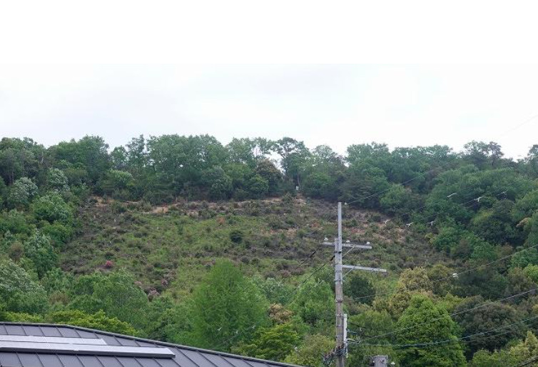 S11883-松ヶ崎【周辺】