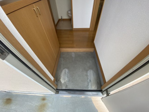 ＥＬＦＥ【玄関】