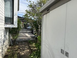 唐船売家【庭】