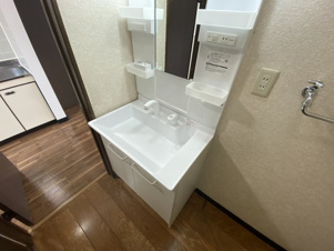 コーポイーストリバーサイドⅡ【洗面所】