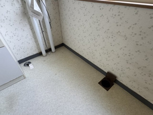 グリーンキャッスル【洗面所】