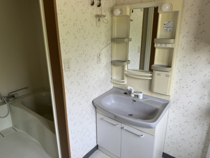 グリーンキャッスル【洗面所】