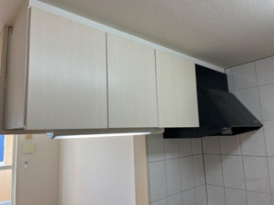 セレーマ【キッチン】キッチン収納