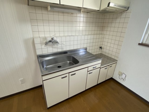 ラッキーストーリッジⅠ【キッチン】