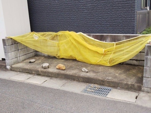 レオネクスト来夢２１【その他】