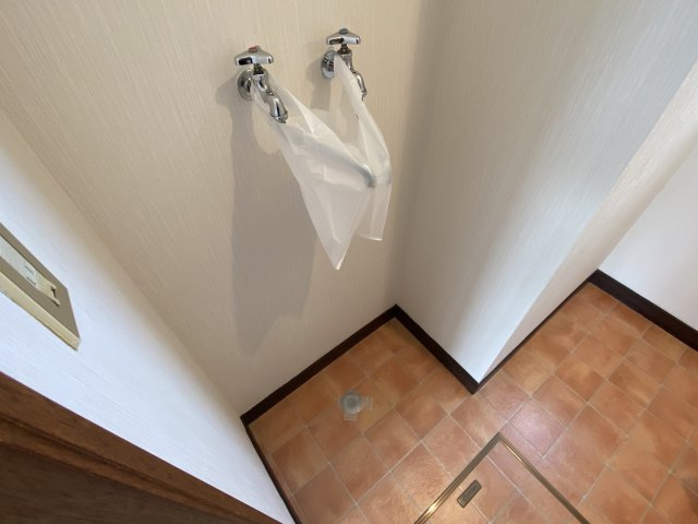 レジデンス白樺【洗面所】