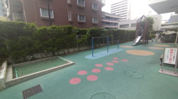 「Tiktok動画　パークハウス新松戸311　8階」の画像