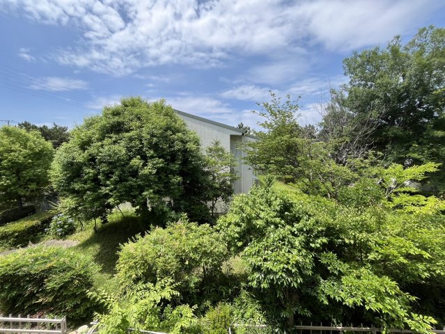 入船中央エステート53号棟【展望】