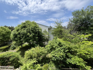 入船中央エステート53号棟【展望】