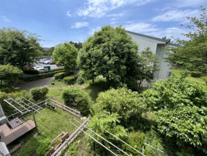 入船中央エステート53号棟【展望】