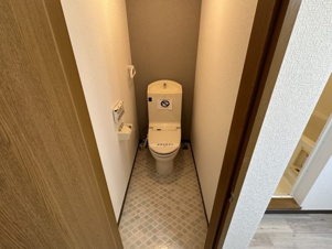 ラッキーストーリッジⅢ【トイレ】