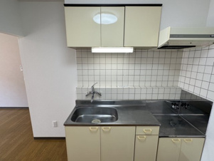 ラッキーストーリッジⅢ【キッチン】