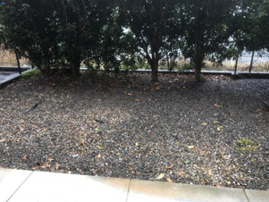 ハートフル音羽館【その他】庭