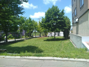 ルーベル東2条【周辺】隣に公園があります。