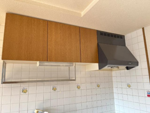 グリーンリバー【収納】キッチン戸棚