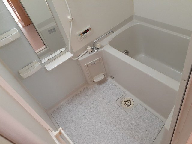 フリーデⅡ【浴室】