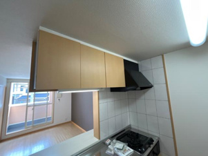 ピクシーハイツ【キッチン】キッチン収納