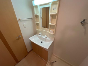 ピクシーハイツ【洗面所】洗面化粧台