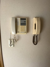 レフィーニ大宮盆栽町【セキュリティ】