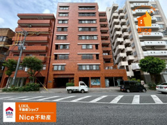 ライオンズマンション泊　205号室の画像