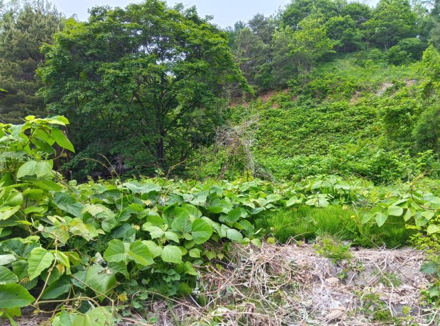 小樽市稲穂５丁目の売地【外観】