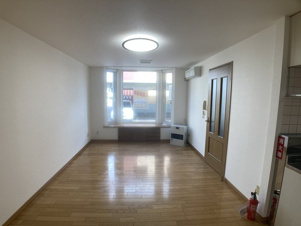 グリーンフィールド【居間・リビング】