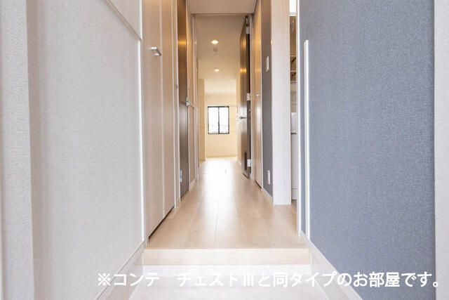 メゾン・シュシュⅡ【玄関】