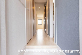 メゾン・シュシュⅡ【玄関】