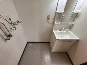 イーストハウス【洗面所】