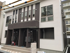 フリージアの画像