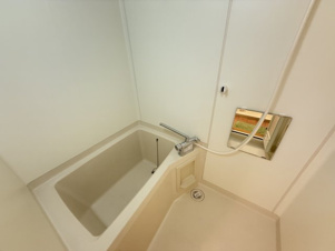 ＤＵＰＬＥＸ 国王３３【洋室】