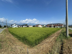 伊那市仙美7878-2.3　土地の画像