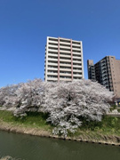 サンシティ川端の画像