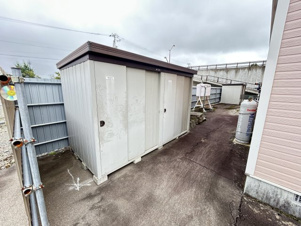 ラッキーストーリッジⅡ【その他】