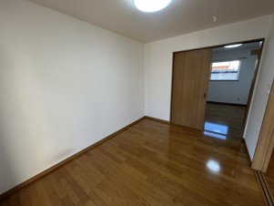 ピクシー【その他】