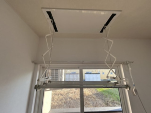 ピクシー【その他】