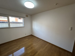 ピクシー【その他】