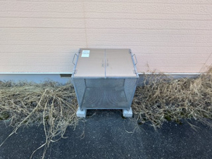 ピクシー【その他】