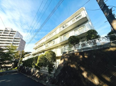 白を基調とした明るい外観が印象的です。植栽と調和した建物デザインが特徴です。道路側からも見通しの良いファサードです。日差しを受けて清潔感があります。段差のある敷地で開放感があります。