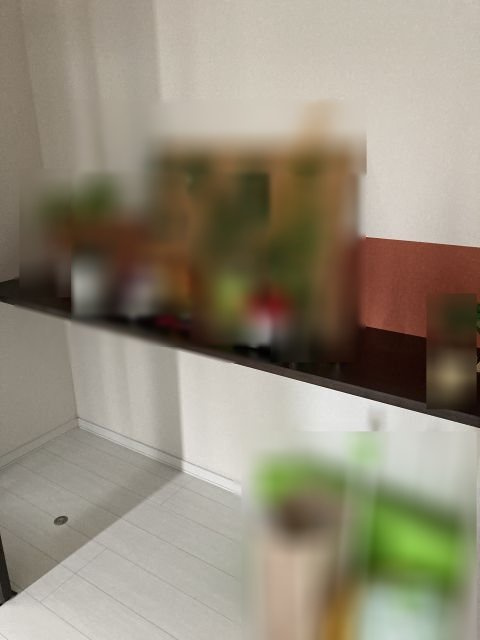 西１８条南３丁目【収納】