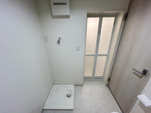 ルナモンド大和田【洗面所】