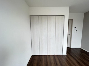 ルナモンド大和田【収納】