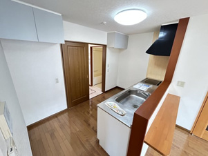 ＧｅＯⅡ（ジオツー）【その他】