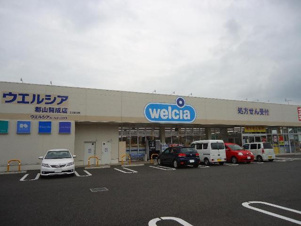 シャトー開成【周辺】ウエルシア郡山開成店まで526ｍ