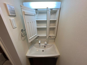 ディベロップ富田【洗面所】洗髪洗面化粧台