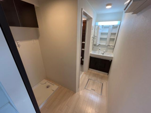 ディベロップ富田【洗面所】洗面所