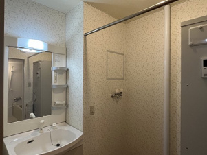 ＴＯＷＮ西１３南１５セオリーＡ・Ｂ【洗面所】